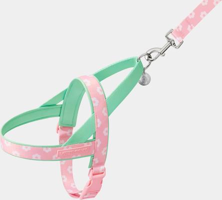 Show full view: VETRESKA Flora Dog Harness & Leash Set, Pink/Green, Medium: 23 to 30-in chest slide 3 of 10