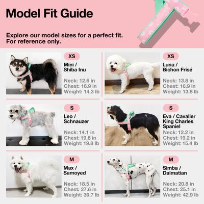 Show full view: VETRESKA Flora Dog Harness & Leash Set, Pink/Green, Medium: 23 to 30-in chest slide 10 of 10