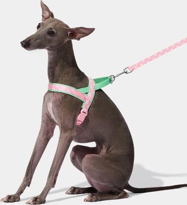 Show full view: VETRESKA Flora Dog Harness & Leash Set, Pink/Green, Medium: 23 to 30-in chest slide 5 of 10