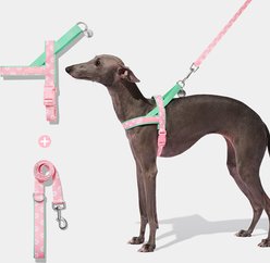 VETRESKA Flora Dog Harness & Leash Set, Pink/Green, Small: 19 to 26-in chest