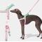 Show in main carousel: VETRESKA Flora Dog Harness & Leash Set, Pink/Green, Small: 19 to 26-in chest slide 1 of 9