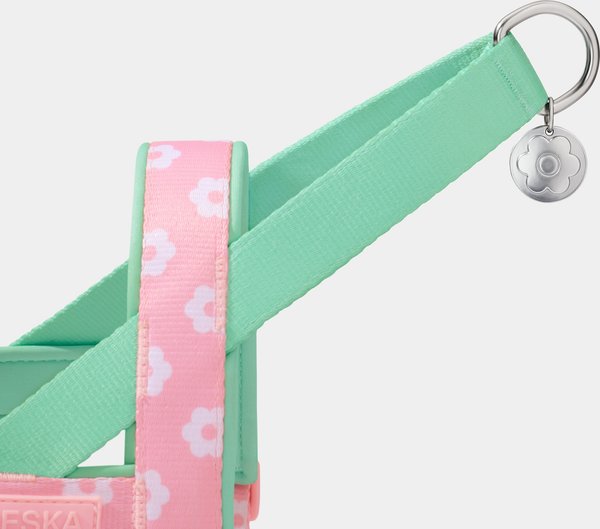 VETRESKA Flora Dog Harness & Leash Set, Pink/Green