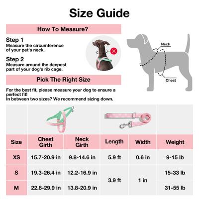 Show full view: VETRESKA Flora Dog Harness & Leash Set, Pink/Green, X-Small: 16 to 21-in chest slide 8 of 9