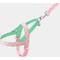 Show in main carousel: VETRESKA Flora Dog Harness & Leash Set, Pink/Green, X-Small: 16 to 21-in chest slide 2 of 9