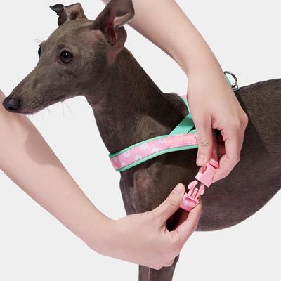 Show full view: VETRESKA Flora Dog Harness & Leash Set, Pink/Green, X-Small: 16 to 21-in chest slide 3 of 9