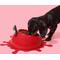 Show in main carousel: VETRESKA Juicy Cherry Dog & Cat Bowl, Spoon, & Mat Set, Red, Medium: 14-oz slide 4 of 9