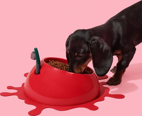 Show full view: VETRESKA Juicy Cherry Dog & Cat Bowl, Spoon, & Mat Set, Red, Medium: 14-oz slide 4 of 9