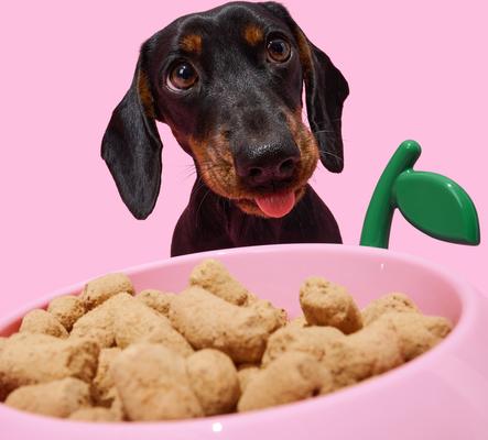 Show full view: VETRESKA Juicy Peach Dog & Cat Bowl, Spoon & Mat Set, Pink, Medium: 14-oz slide 8 of 9