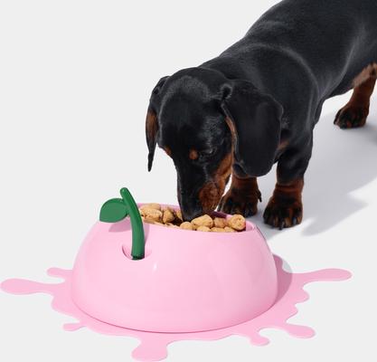 Show full view: VETRESKA Juicy Peach Dog & Cat Bowl, Spoon & Mat Set, Pink, Medium: 14-oz slide 4 of 9