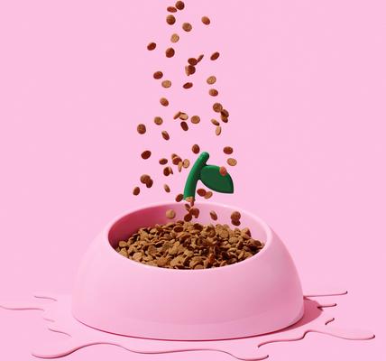 Show full view: VETRESKA Juicy Peach Dog & Cat Bowl, Spoon & Mat Set, Pink, Medium: 14-oz slide 6 of 9