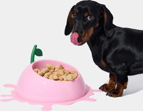 Show full view: VETRESKA Juicy Peach Dog & Cat Bowl, Spoon & Mat Set, Pink, Medium: 14-oz slide 5 of 9