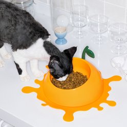 VETRESKA Juicy Tangerine Dog & Cat Bowl, Spoon, & Mat Set, Orange, Medium: 14-oz slide 2 of 9