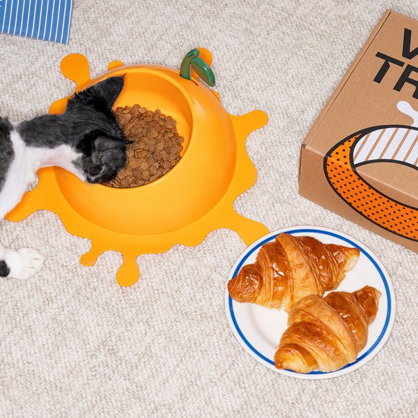 VETRESKA Juicy Tangerine Dog & Cat Bowl, Spoon, & Mat Set, Orange, Medium: 14-oz