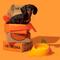 Show in main carousel: VETRESKA Juicy Tangerine Dog & Cat Bowl, Spoon, & Mat Set, Orange, Medium: 14-oz slide 7 of 9