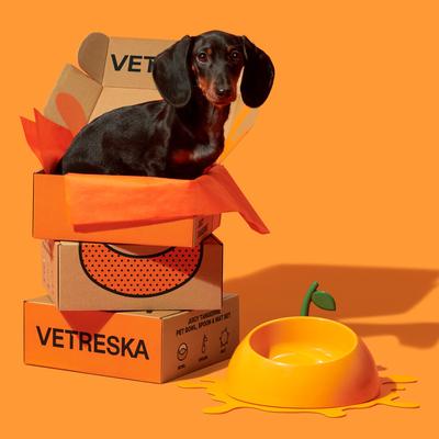 Show full view: VETRESKA Juicy Tangerine Dog & Cat Bowl, Spoon, & Mat Set, Orange, Medium: 14-oz slide 7 of 9