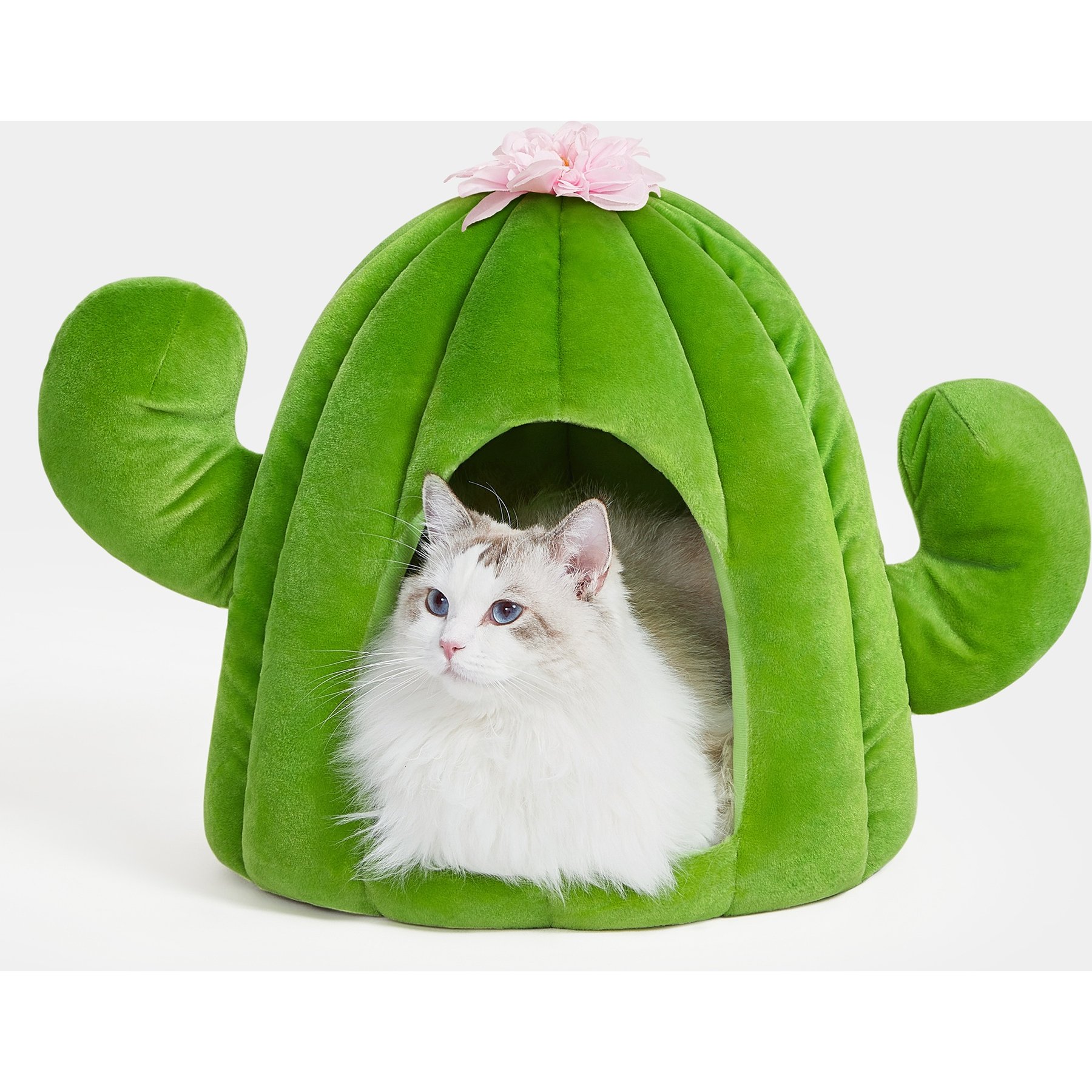 VETRESKA Oasis Cactus Dog & Cat Bed with Removable Cover, Green, Medium