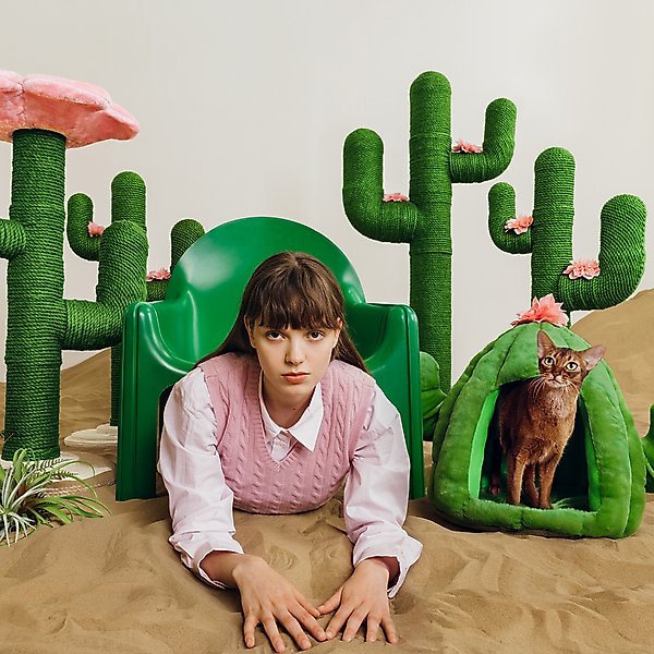 Show full view: VETRESKA Oasis Cactus Dog & Cat Bed with Removable Cover, Green, Medium slide 6 of 9