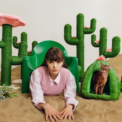 Show full view: VETRESKA Oasis Cactus Dog & Cat Bed with Removable Cover, Green, Medium slide 7 of 10