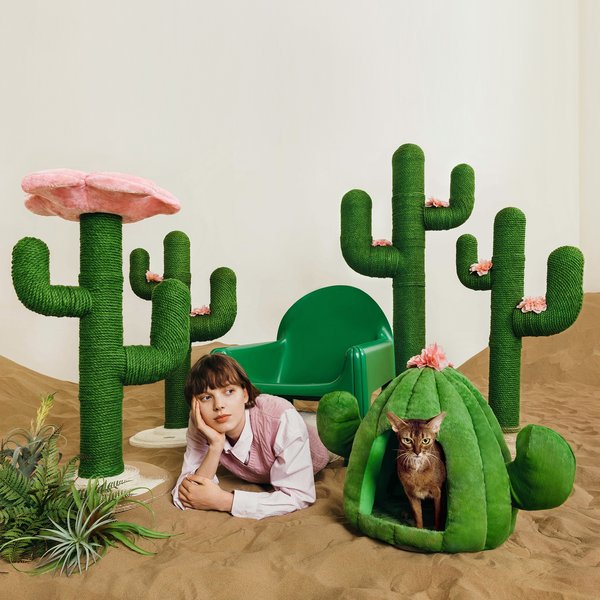 Show full view: VETRESKA Oasis Cactus Dog & Cat Bed with Removable Cover, Green, Medium slide 7 of 9