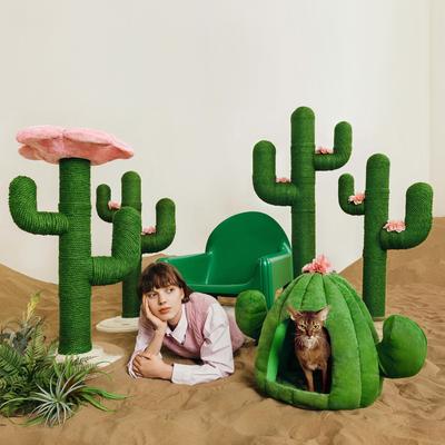 Show full view: VETRESKA Oasis Cactus Dog & Cat Bed with Removable Cover, Green, Medium slide 8 of 10