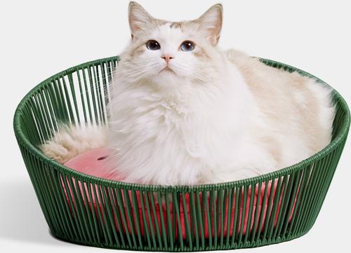 Show full view: VETRESKA Rattan Cat & Dog Bed, Watermelon slide 2 of 9