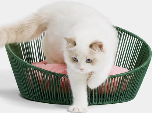 Show full view: VETRESKA Rattan Cat & Dog Bed, Watermelon slide 3 of 9