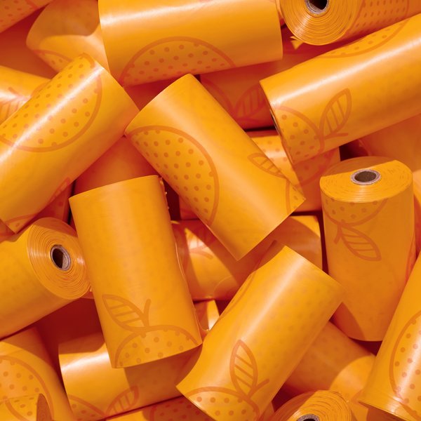 VETRESKA Tangerine Dog Poop Bag Dispenser with Bags, 7 count