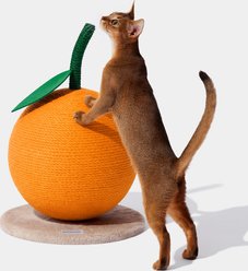 VETRESKA Tangerine Scratching Ball Cat Toy