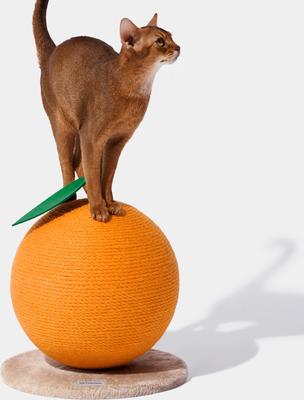 Show full view: VETRESKA Tangerine Scratching Ball Cat Toy slide 3 of 10