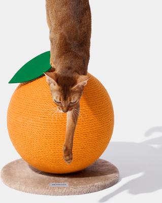 Show full view: VETRESKA Tangerine Scratching Ball Cat Toy slide 4 of 10