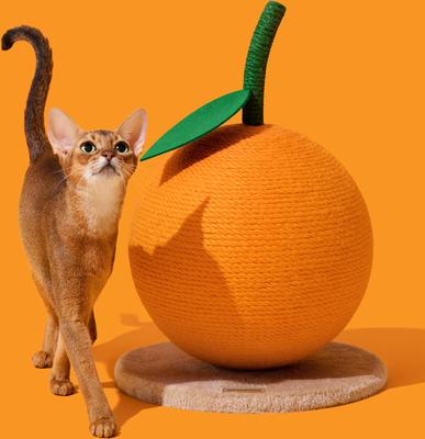Show full view: VETRESKA Tangerine Scratching Ball Cat Toy slide 6 of 10