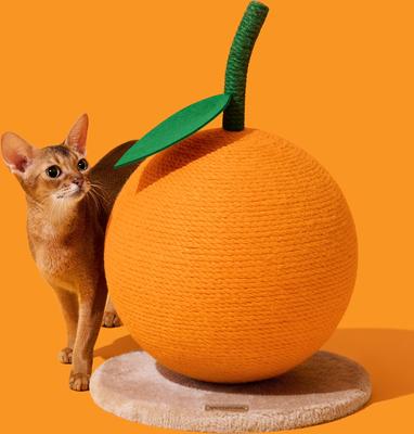 Show full view: VETRESKA Tangerine Scratching Ball Cat Toy slide 7 of 10