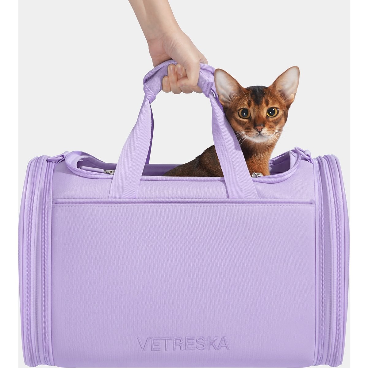 VETRESKA Violet Voyage Dog & Cat Bag Carrier, Purple