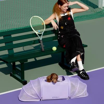 Show full view: VETRESKA Violet Voyage Dog & Cat Bag Carrier, Purple slide 3 of 9