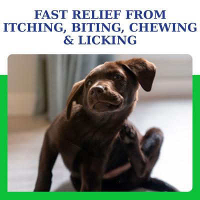 Show full view: VETRIMAX AtopiCream HC Hydrocortisone Leave-On Dog & Cat Conditioner/Lotion, 8-fl oz bottle slide 6 of 7