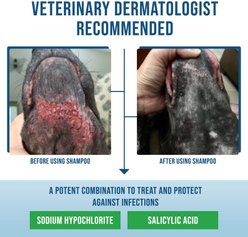 VETRIMAX Command Deep-Cleansing Dog & Cat Shampoo, 12-fl oz bottle slide 2 of 5