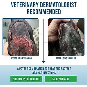 VETRIMAX Command Deep-Cleansing Dog & Cat Shampoo, 12-fl oz bottle