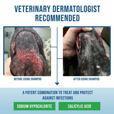 Show full view: VETRIMAX Command Deep-Cleansing Dog & Cat Shampoo, 12-fl oz bottle slide 4 of 7