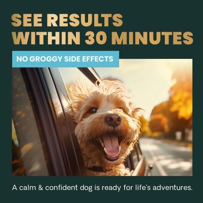 Show full view: VetriScience Composure Calm & Confident Clinically Tested Chicken-Flavored Chews Calming & Anxiety Supplement for Dogs, 15 count slide 6 of 10