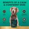Show in main carousel: VetriScience Composure Calm & Confident Clinically Tested Chicken-Flavored Chews Calming & Anxiety Supplement for Dogs, 15 count slide 5 of 10