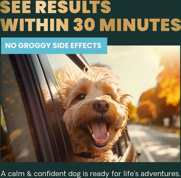 Show full view: VetriScience Composure Calm & Confident Clinically Tested Chicken-Flavored Chews Calming & Anxiety Supplement for Dogs, 60 count slide 5 of 10