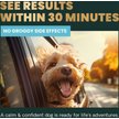 Show in main carousel: VetriScience Composure Calm & Confident Clinically Tested Chicken-Flavored Chews Calming & Anxiety Supplement for Dogs, 60 count slide 5 of 10