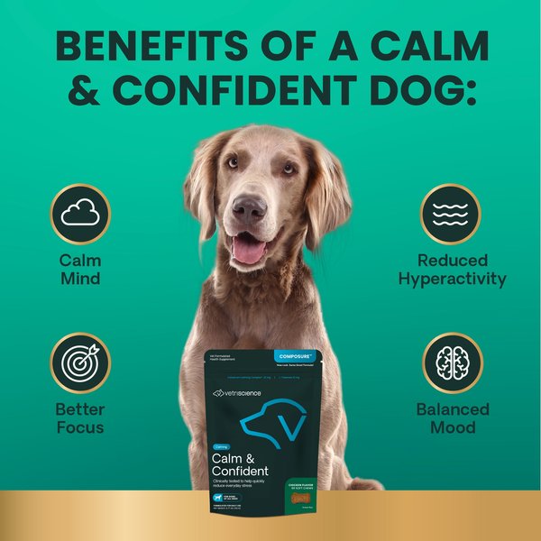 Show full view: VetriScience Composure Calm & Confident Clinically Tested Chicken-Flavored Chews Calming & Anxiety Supplement for Dogs, 60 count slide 4 of 10