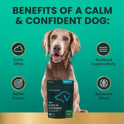 Show full view: VetriScience Composure Calm & Confident Clinically Tested Chicken-Flavored Chews Calming & Anxiety Supplement for Dogs, 60 count slide 5 of 11