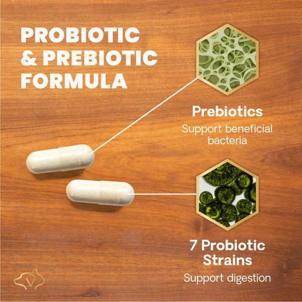 Show full view: VetriScience Extra Strength Gut Mega Probiotic & Prebiotic Health Easy-Open Capsules Digestive Supplement for Dogs & Cats, 120 count slide 4 of 11