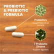 Show in main carousel: VetriScience Extra Strength Gut Mega Probiotic & Prebiotic Health Easy-Open Capsules Digestive Supplement for Dogs & Cats, 120 count slide 4 of 11