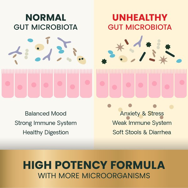 Show full view: VetriScience Extra Strength Gut Mega Probiotic & Prebiotic Health Easy-Open Capsules Digestive Supplement for Dogs & Cats, 120 count slide 5 of 11