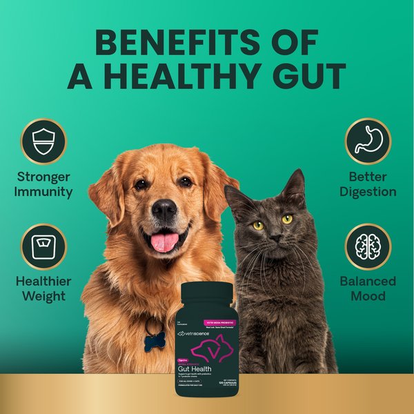Show full view: VetriScience Extra Strength Gut Mega Probiotic & Prebiotic Health Easy-Open Capsules Digestive Supplement for Dogs & Cats, 120 count slide 6 of 11