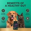 Show in main carousel: VetriScience Extra Strength Gut Mega Probiotic & Prebiotic Health Easy-Open Capsules Digestive Supplement for Dogs & Cats, 120 count slide 6 of 11