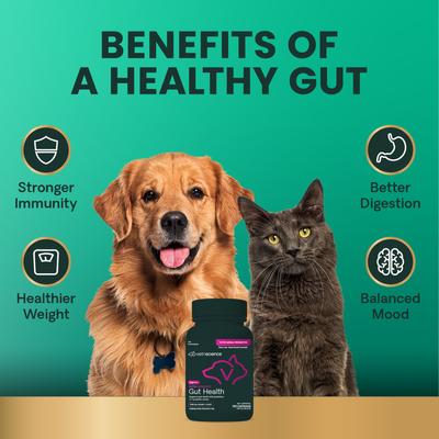 Show full view: VetriScience Extra Strength Gut Mega Probiotic & Prebiotic Health Easy-Open Capsules Digestive Supplement for Dogs & Cats, 240 count slide 7 of 12